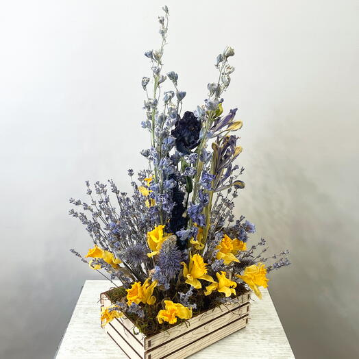 Dry composition Blue and Yellow