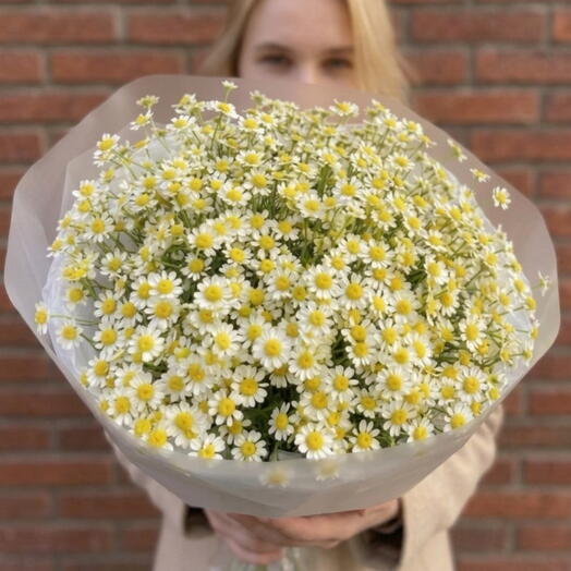 Пышный букет из ромашки🌼