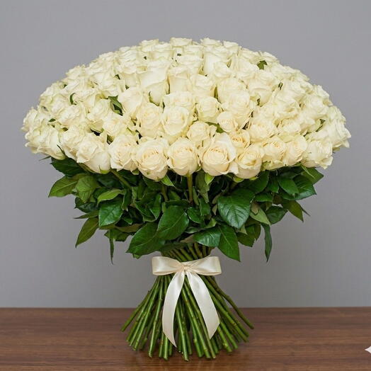 DOLOMITI ROSES 101