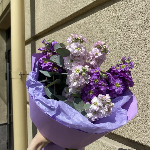 Букет из 7 нежных маттиол и эвкалипта