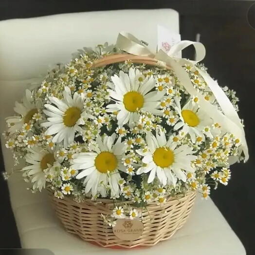 День семьи