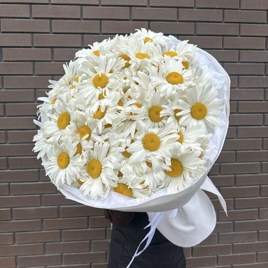 Букет из 51 ромашки