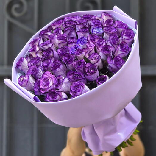 51 роза фиолетовая 💜