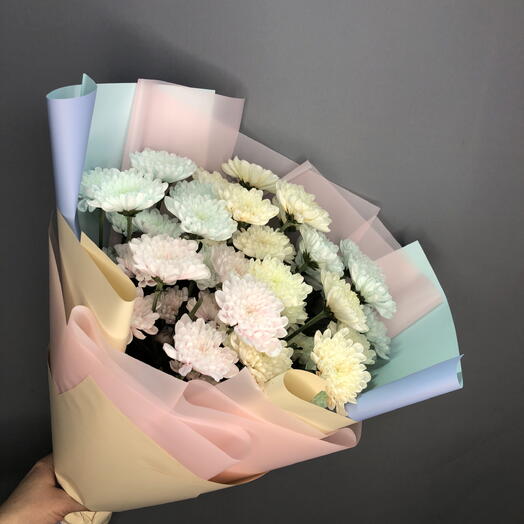Нежнейшие хризантемы в пастельных тонах🌸