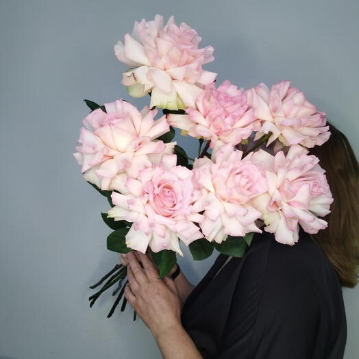 Роза 🌹 " французская" 7 шт