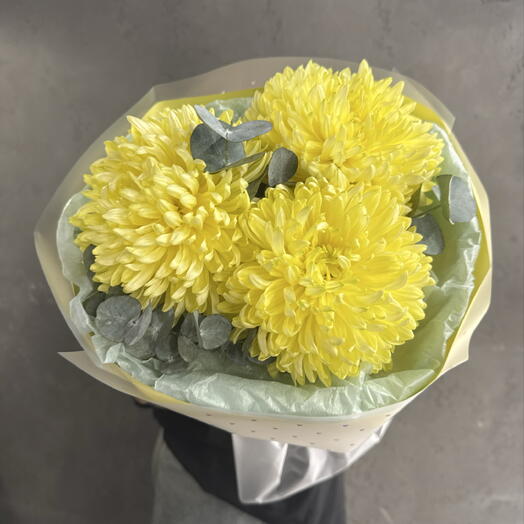 Солнечные хризантемы🌼
