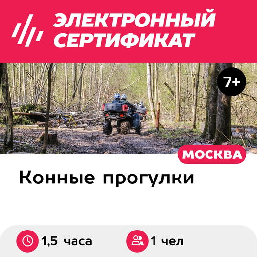 Подарочный сертификат Активный выходной LITE: конная прогулка+катание на квадроцикле, 1 чел