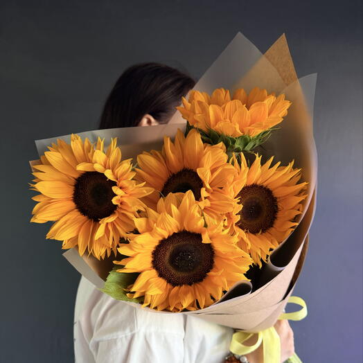 Подсолнухи 🌻