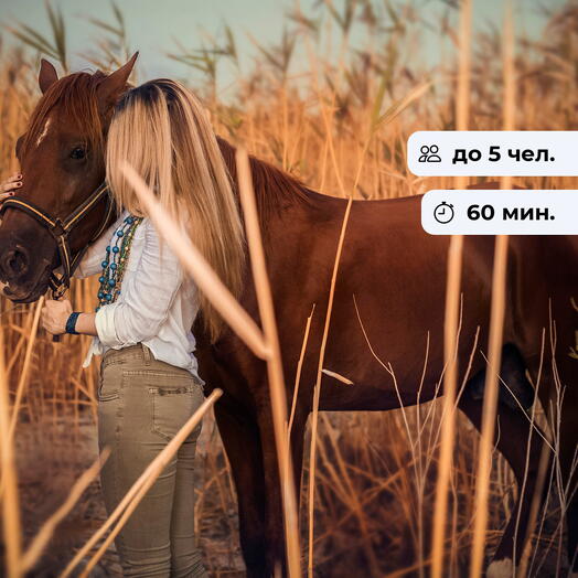 В кадре. Фотосессия с лошадью в с. Бородулино