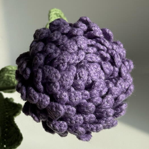 Хризантема бургунди violet