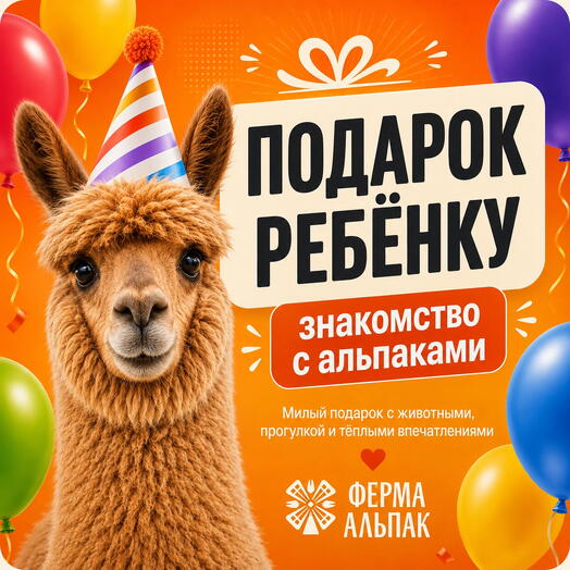 Подарок ребёнку — знакомство с альпаками на Ферме Альпак в Москве (Щелково)