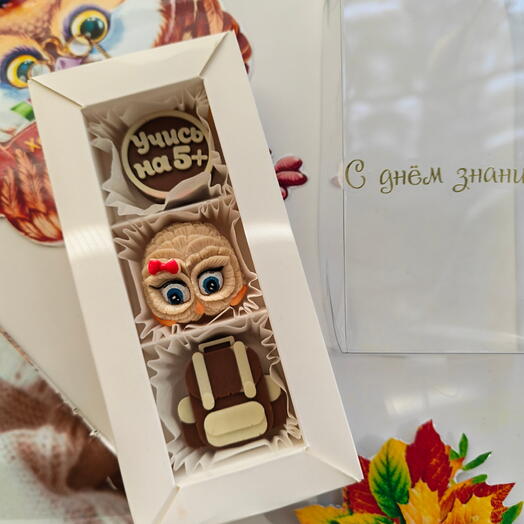 Шоколад, набор на 3 конфетки
" Учись на 5+"