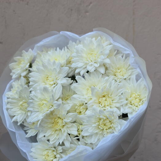 Хризантемы кустовые