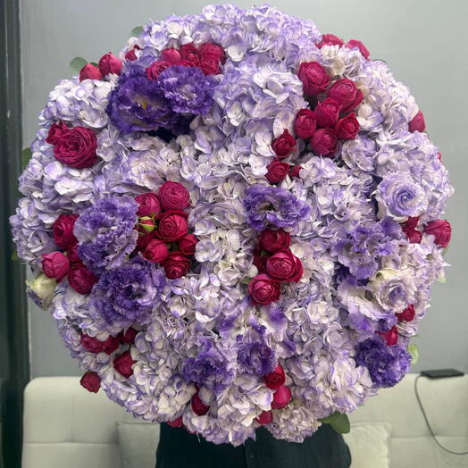 Maison Violet Hydrangea 😍💜