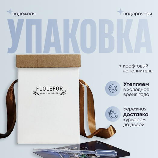 Дофаминовый флорариум с суккулентом «Жар-птица»