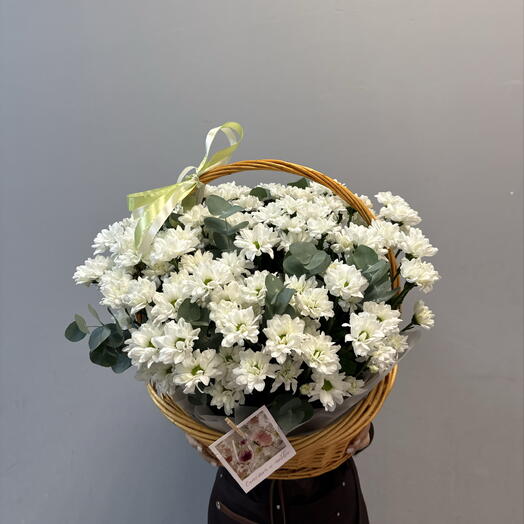 Композиция 12548