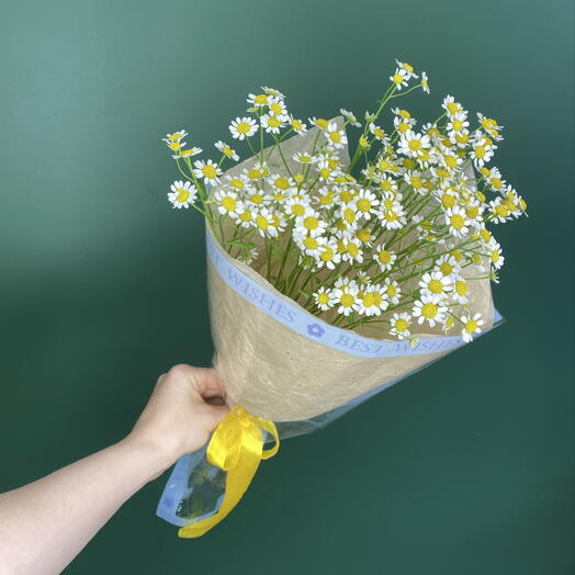 Букет-комплимент Ромашек Камилла