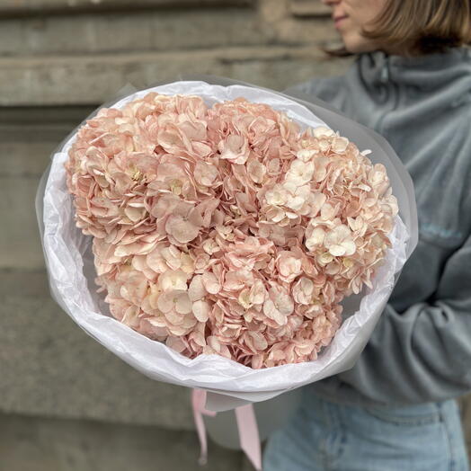 Монобукет из 5 розовых гортензий в круглом оформлении