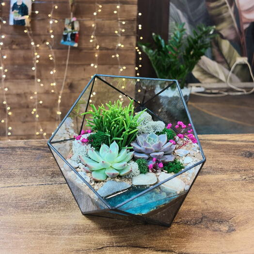 Florarium con suculentas