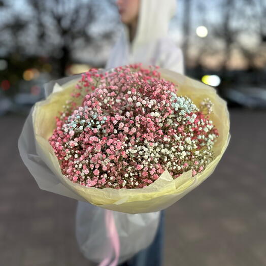 Моно букет из гипсофил