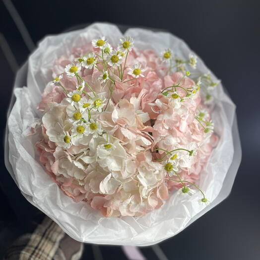 Розовые гортензии с ромашкой🌸