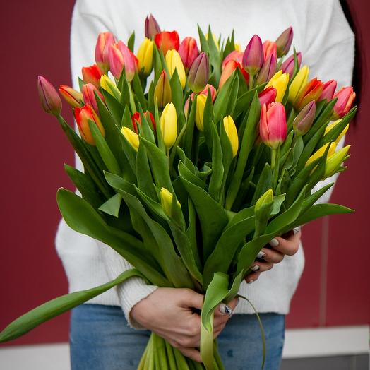 Tulipanes mezcla CLÁSICA