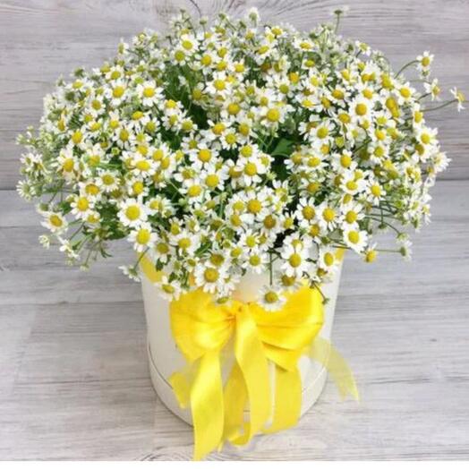 Flores en Caja