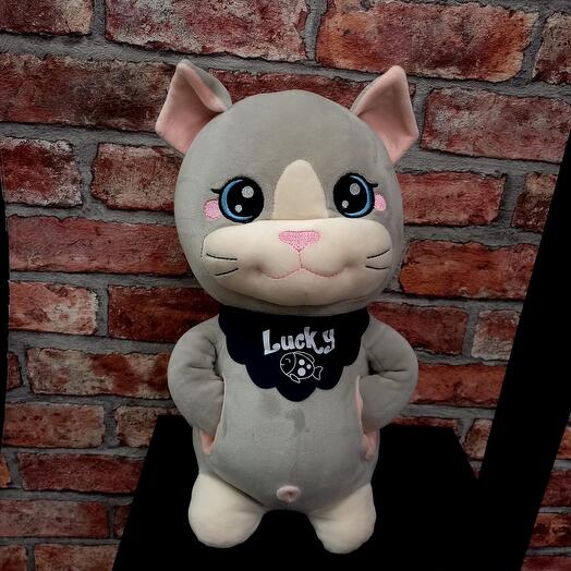Мягкая игрушка Кот с карманами