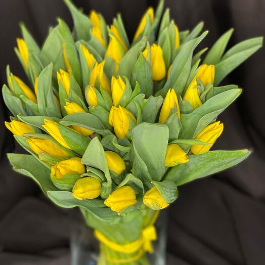 Tulipanes amarillos