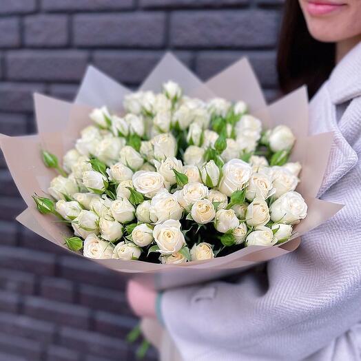 Bush roses