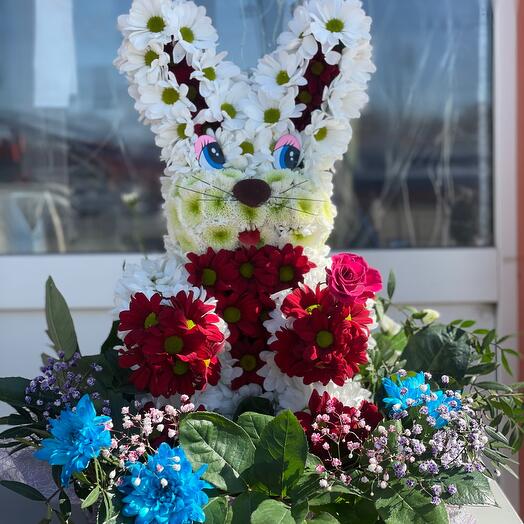 Bunny is amazing