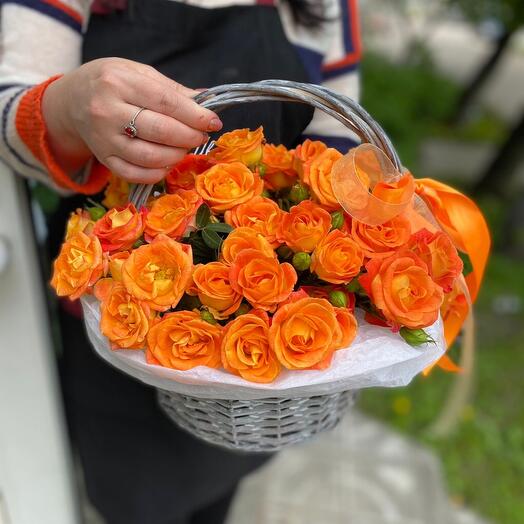 Basket with bush roses