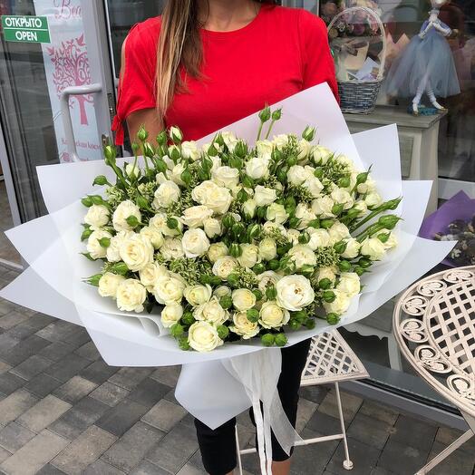 29 rosas arbustivas