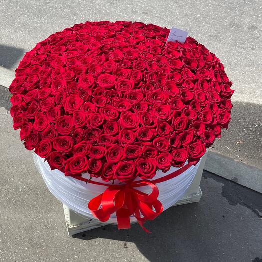 201 piezas rosa por Caja