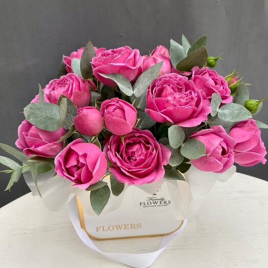 Peony bush rose in a box