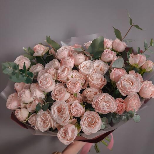 Peony-shaped bush roses Bombastik