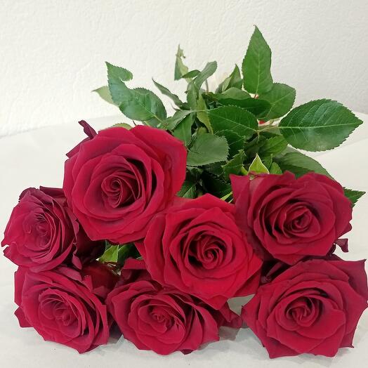 Roses Explorer 7pcs