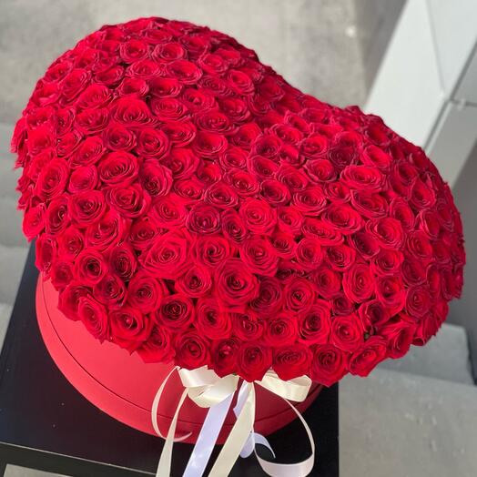 201 rosa en Caja