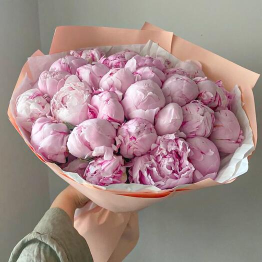 Пионы розовые