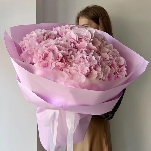 Hortensias
