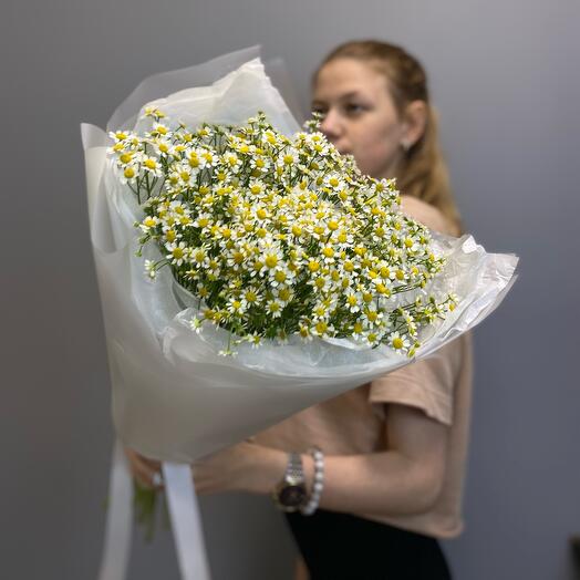 Утро в поле M
