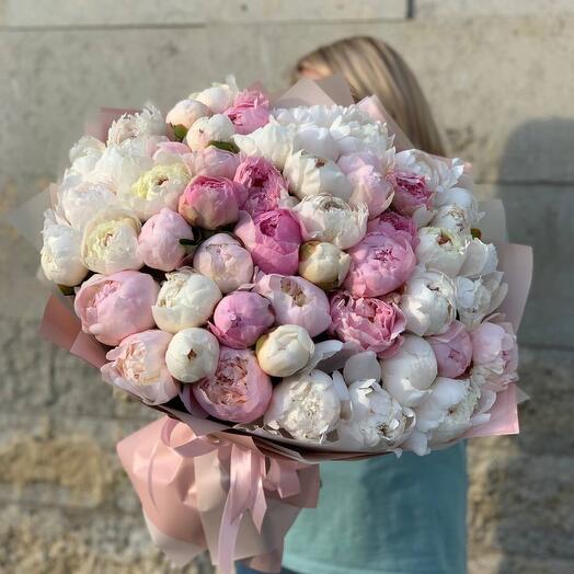 51 peonies in designer packaging