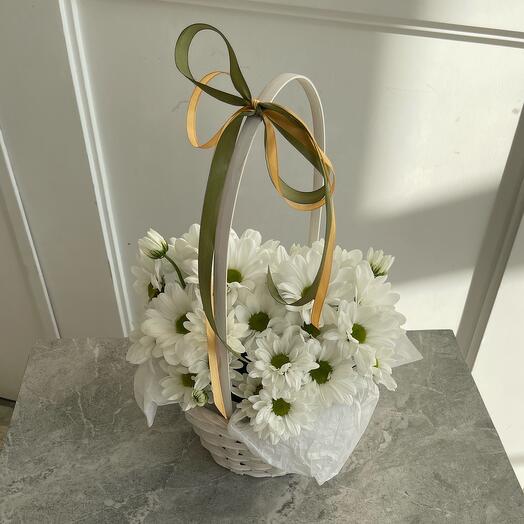Basket with chamomile chrysanthemum