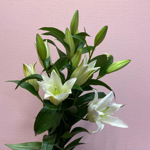Bouquet of 3 white lilies