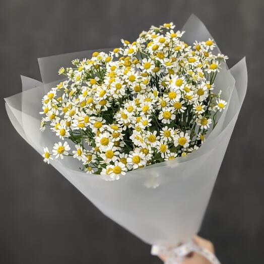 Bouquet of field daisies