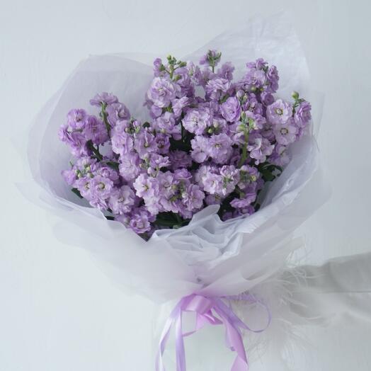 Monobucket of fragrant mattiola