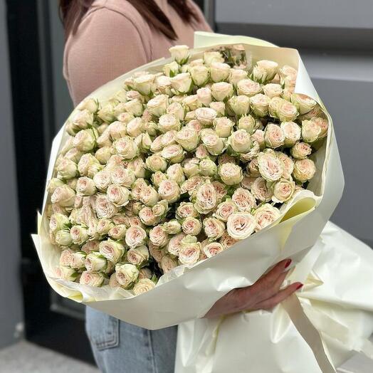 Розы кустовые