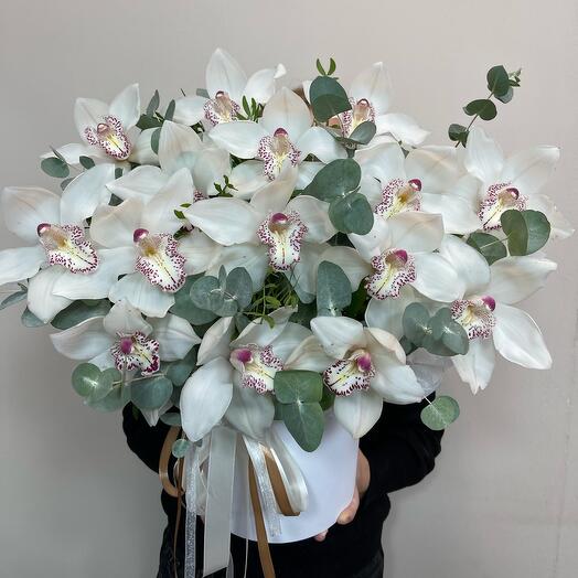 Белая орхидея с эвкалиптом в коробочке 🕊️