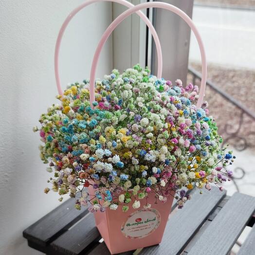 Composition with gypsophila