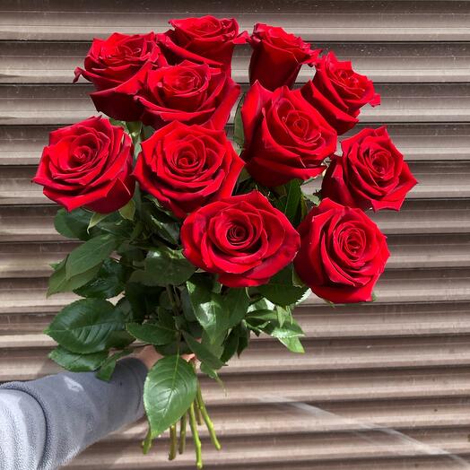 🌹Крупная красная Эквадорская Роза,11 шт с атласной лентой
